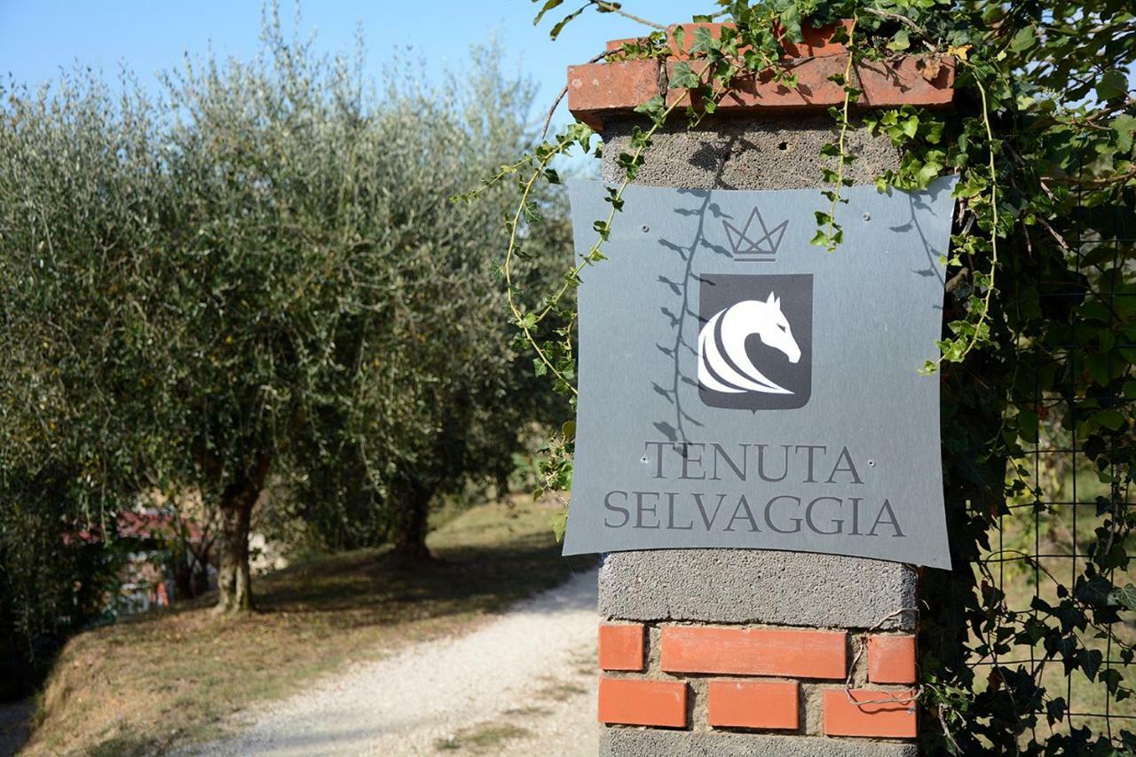 Tenuta Selvaggia Reggello Buitenkant foto